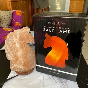 Himalayan Salt lamp- horse design